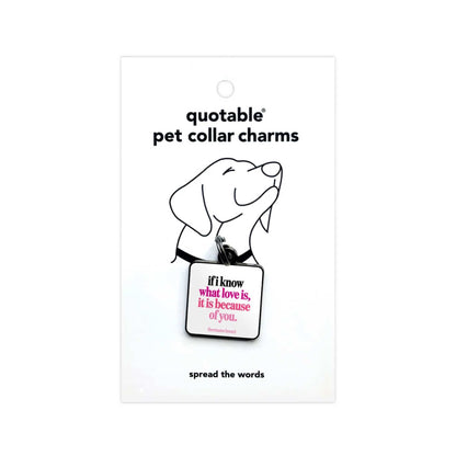 "Love" Pet Collar Charm