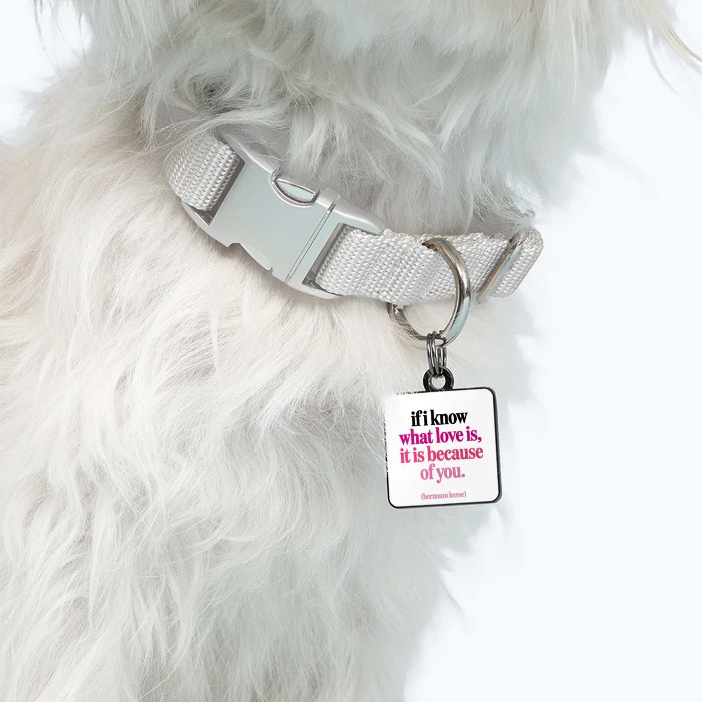 "Love" Pet Collar Charm